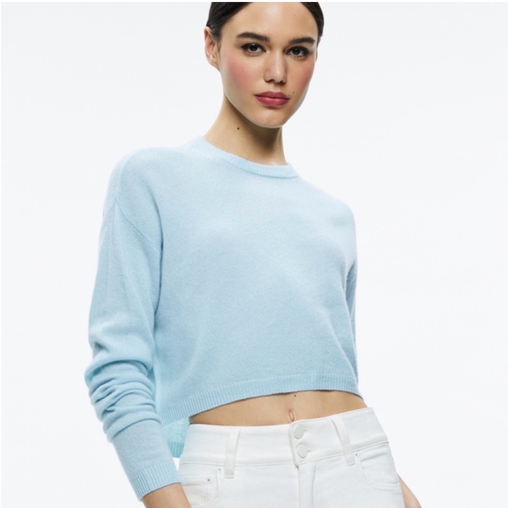 Alice + Olivia Cashmere Sweater NWOT